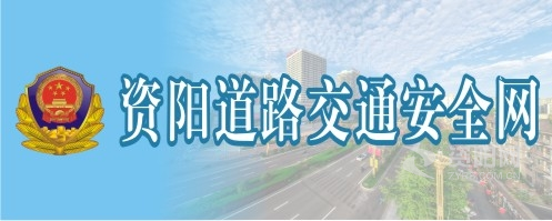 www..com老女人逼资阳道路交通安全网